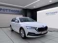 Skoda Octavia Combi 2.0 TDI STYLE AHK NAVI LED SITZHZG Weiß - thumbnail 6