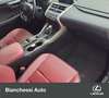 Lexus NX 300h NX Hybrid Executive Bianco - thumbnail 5