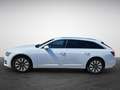 Audi A6 Avant 40 TDI S tronic sport NaviPlus LED AHK Ka... Blanc - thumbnail 4
