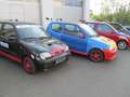 Fiat Sonstige NEU AUFGEBAUTE MOTORSPORT FAHRZEUGE :-) Gelb - thumbnail 3