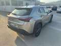 Lexus UX 250h BUSINESS Gris - thumbnail 8
