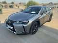 Lexus UX 250h BUSINESS Gris - thumbnail 2