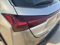 Lexus UX 250h BUSINESS Gris - thumbnail 19