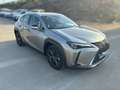 Lexus UX 250h BUSINESS Gris - thumbnail 3