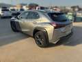 Lexus UX 250h BUSINESS Gris - thumbnail 6