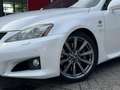 Lexus IS F 5.0 LITER V8 UNIEKE AUTO (Gereserveerd) Weiß - thumbnail 6