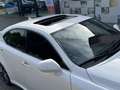 Lexus IS F 5.0 LITER V8 UNIEKE AUTO (Gereserveerd) Weiß - thumbnail 15