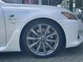 Lexus IS F 5.0 LITER V8 UNIEKE AUTO (Gereserveerd) Weiß - thumbnail 30