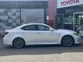 Lexus IS F 5.0 LITER V8 UNIEKE AUTO (Gereserveerd) Weiß - thumbnail 3