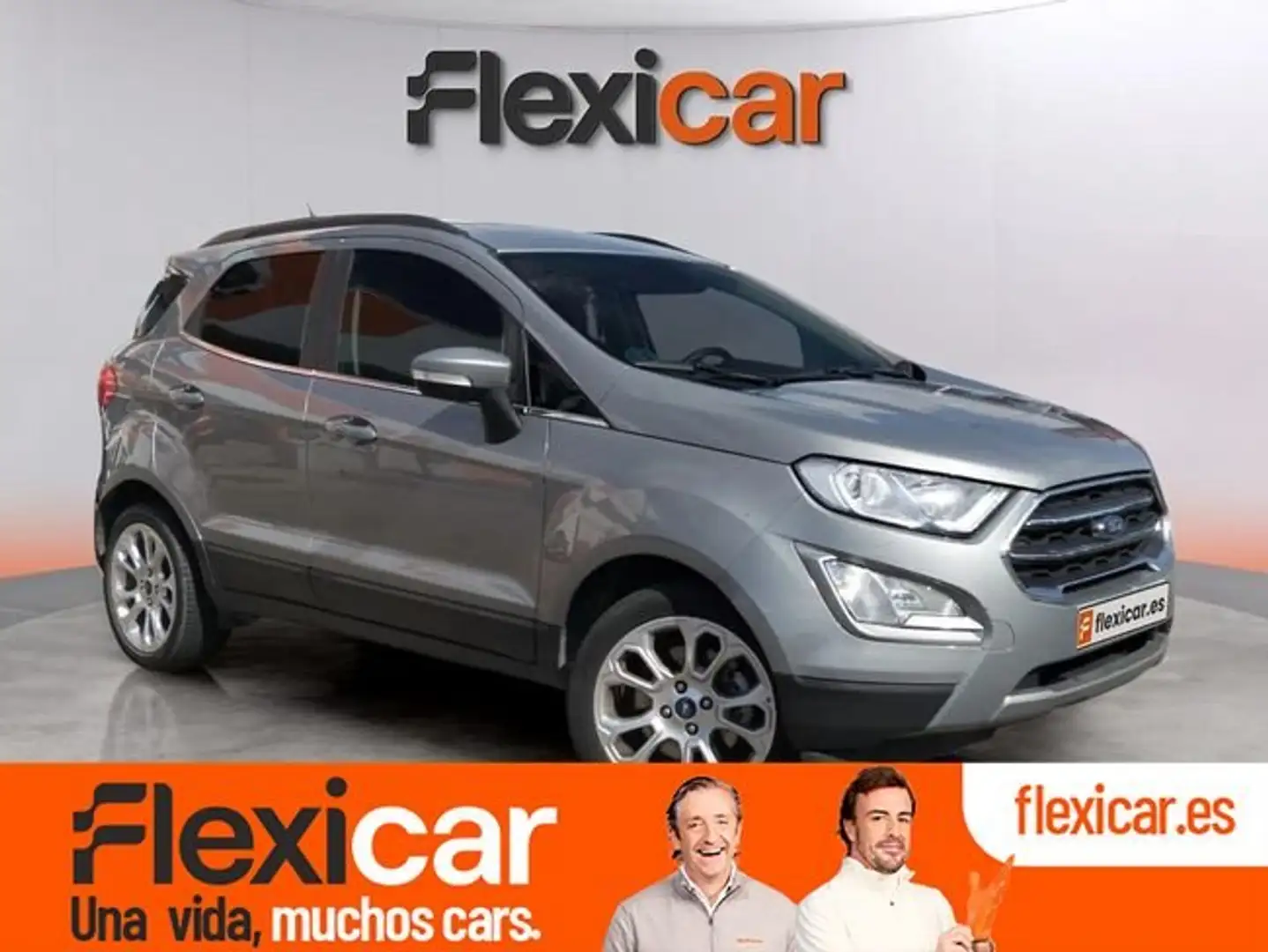 Ford EcoSport 1.0 EcoBoost Active 125 Gris - 1