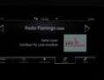 Skoda Scala Selection TSI DSG Grau - thumbnail 15