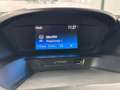 Ford C-Max 1.0 Ecoboost Auto-S&S Trend+ 125 Grau - thumbnail 10