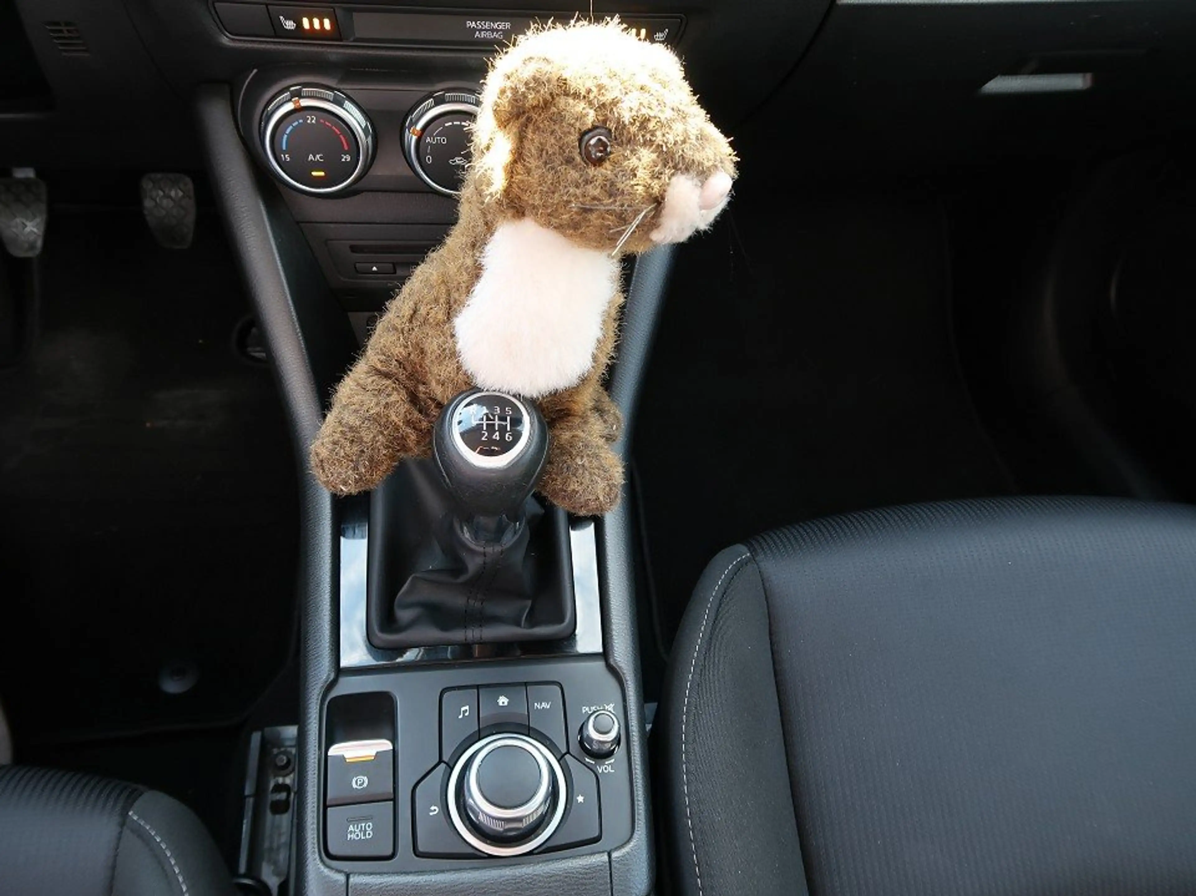 Mazda CX-3 SKYACTIV-G 121 *1.Hand nach TZ*Wartungen lückenlos — photo 24