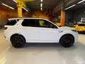 Land Rover Discovery Sport R-Dynamic SE AWD~PANO~HUD~LEDER Weiß - thumbnail 8