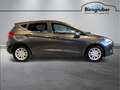 Ford Fiesta Titanium 1,0 EcoBoost Start/Stop Grau - thumbnail 3