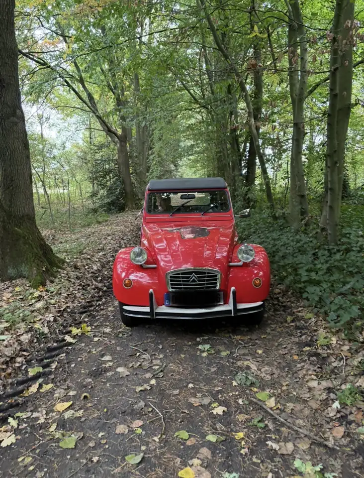 Citroen 2CV Special, foto 1