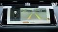 Land Rover Range Rover Evoque D165 R-Dynamic SE Navi ACC Leder AHK  Kamera White - thumbnail 16