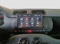 Fiat Panda Panda 1.0 Firefly Hybrid 70cv Grau - thumbnail 14