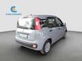 Fiat Panda Panda 1.0 Firefly Hybrid 70cv Grau - thumbnail 4