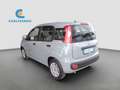 Fiat Panda Panda 1.0 Firefly Hybrid 70cv Grau - thumbnail 6