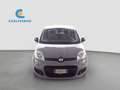 Fiat Panda Panda 1.0 Firefly Hybrid 70cv Grau - thumbnail 2