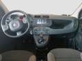 Fiat Panda Panda 1.0 Firefly Hybrid 70cv Grau - thumbnail 13