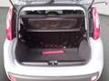 Fiat Panda Panda 1.0 Firefly Hybrid 70cv Grau - thumbnail 8