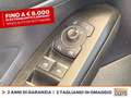 Ford Focus sw 1.0t ecoboost h st-line x 125cv Grigio - thumbnail 19
