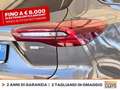 Ford Focus sw 1.0t ecoboost h st-line x 125cv Grigio - thumbnail 17