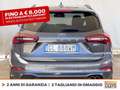 Ford Focus sw 1.0t ecoboost h st-line x 125cv Grigio - thumbnail 5