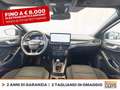 Ford Focus sw 1.0t ecoboost h st-line x 125cv Grigio - thumbnail 11