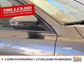 Ford Focus sw 1.0t ecoboost h st-line x 125cv Grigio - thumbnail 16