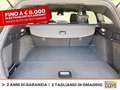 Ford Focus sw 1.0t ecoboost h st-line x 125cv Grigio - thumbnail 12