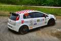 Abarth Grande Punto Fiat RALLY racing start plus 1.4 PRONTA GARA - thumbnail 8