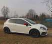Abarth Grande Punto Fiat RALLY racing start plus 1.4 PRONTA GARA - thumbnail 13