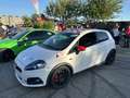 Abarth Grande Punto Fiat RALLY racing start plus 1.4 PRONTA GARA - thumbnail 16