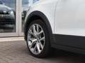 Volkswagen Polo Cross 1.2 TSI 110 pk DSG | Navi | Xenon | 17 '' LMV | Or Alb - thumbnail 7