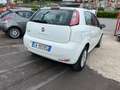 Fiat Punto Punto 5p 1.4 natural power Lounge 70cv E6 Bianco - thumbnail 6