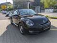 Volkswagen Maggiolino Cabrio 1.4 TSI Noir - thumbnail 6