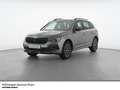 Skoda Kamiq Tour TSI LED Navi Alu17 SmartLink ACC Grau - thumbnail 1