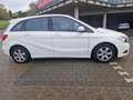 Mercedes-Benz B 180 B 180 CDI / d (246.212) Weiß - thumbnail 5
