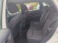 Mercedes-Benz B 180 B 180 CDI / d (246.212) Weiß - thumbnail 9