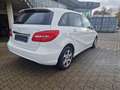 Mercedes-Benz B 180 B 180 CDI / d (246.212) Weiß - thumbnail 6