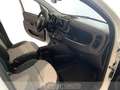 Fiat Panda 1.0 firefly hybrid cross s&s 70cv 5p.ti Weiß - thumbnail 9
