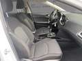 Kia Ceed / cee'd Vision 1.0T STD SitzHzg. Kamera CarPlay Bianco - thumbnail 10