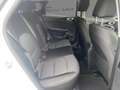 Kia Ceed / cee'd Vision 1.0T STD SitzHzg. Kamera CarPlay Bianco - thumbnail 11