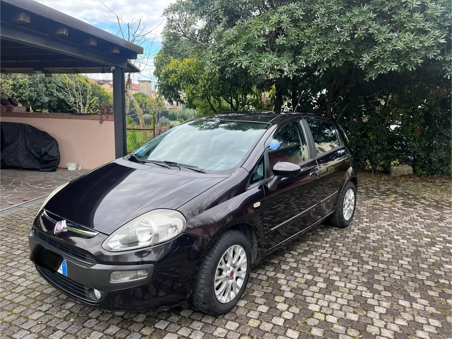 Fiat Punto Evo 5p 1.4 Dynamic Gpl 77cv - 1