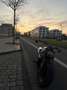 Harley-Davidson Sportster S 1250 Beige - thumbnail 7