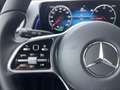 Mercedes-Benz EQB 250 Business Line 7p. | Navigatie | Camera | 7-Persone Grigio - thumbnail 7