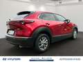 Mazda CX-30 Selection 2.0l Mild-Hybrid 2WD Rosso - thumbnail 3